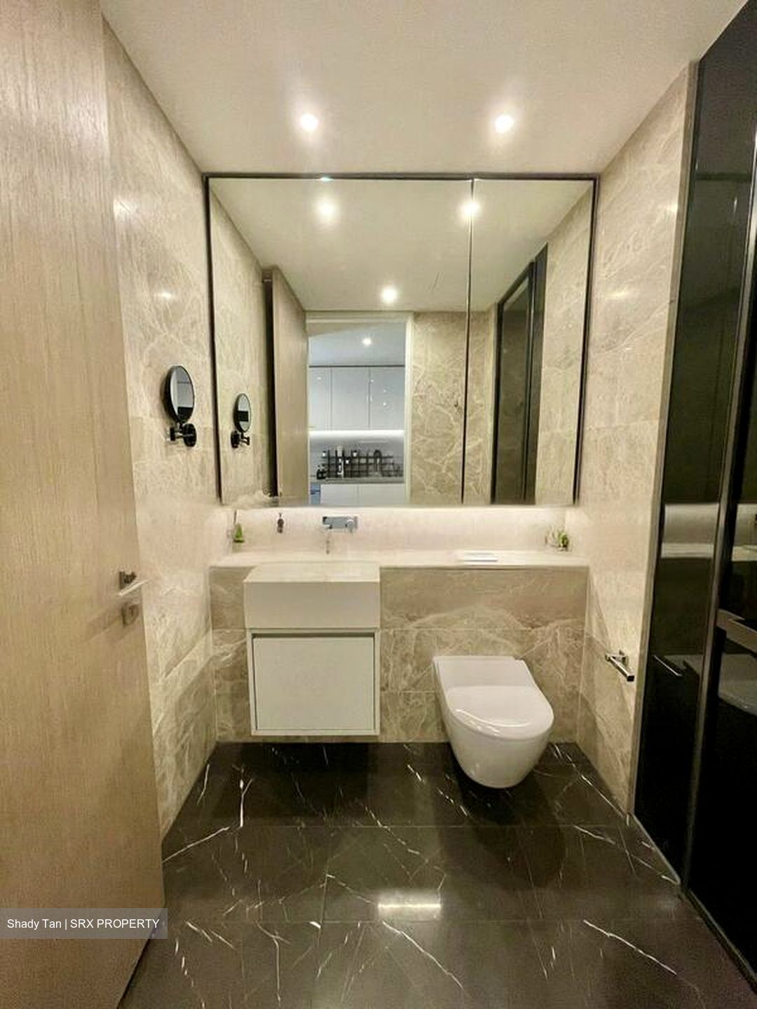 Amber Park (D15), Condominium #464268951